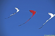 32 FESTIVAL CERVIA 2012 - 209